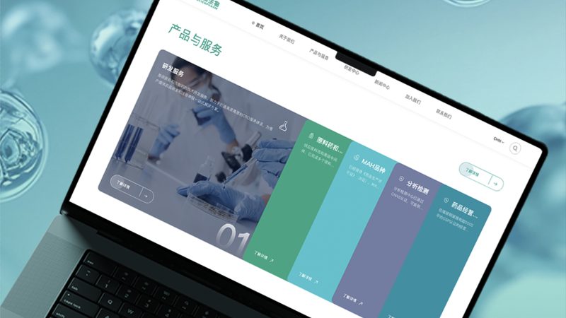 网站制作步骤详解：从构思到上线，一网打尽